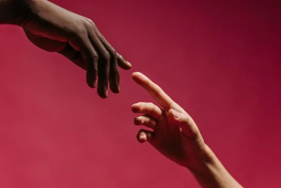 Rex Kaszinó Támogatás